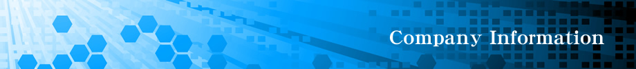 Company Information